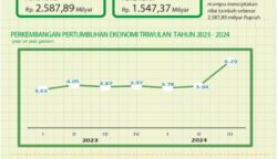 pj wali kota parepare