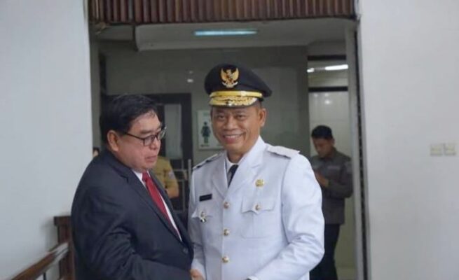 pj wali kota parepare