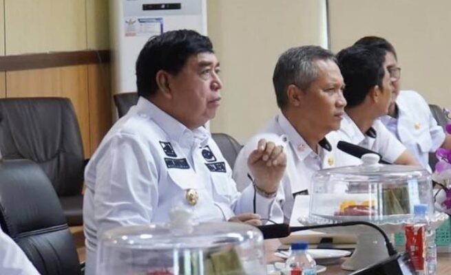 pj wali kota parepare